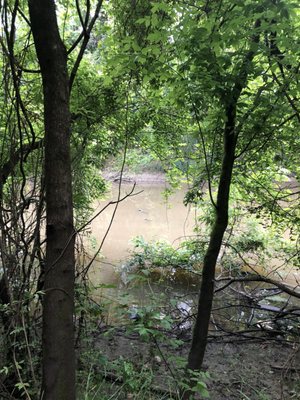 Manchac Parish Park thumbnail