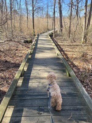 Beaver Dam Creek County Park thumbnail