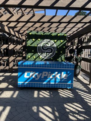 City Pickle at Wollman Rink thumbnail