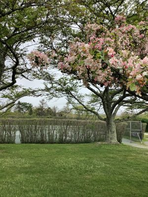 Montauk Downs Tennis thumbnail