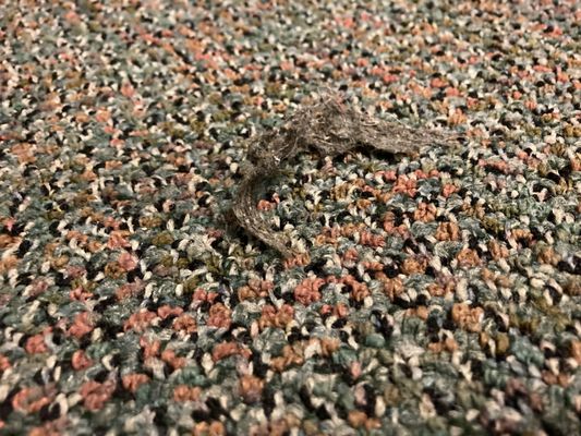 Springfield YMCA thumbnail