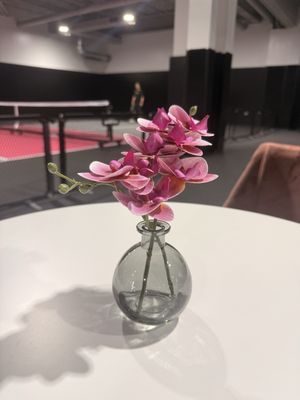 One More Fun Game Pickleball thumbnail