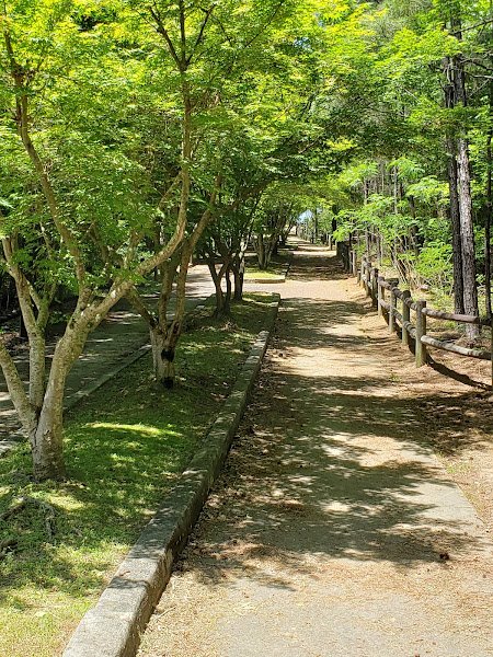 Dora Walking Track thumbnail