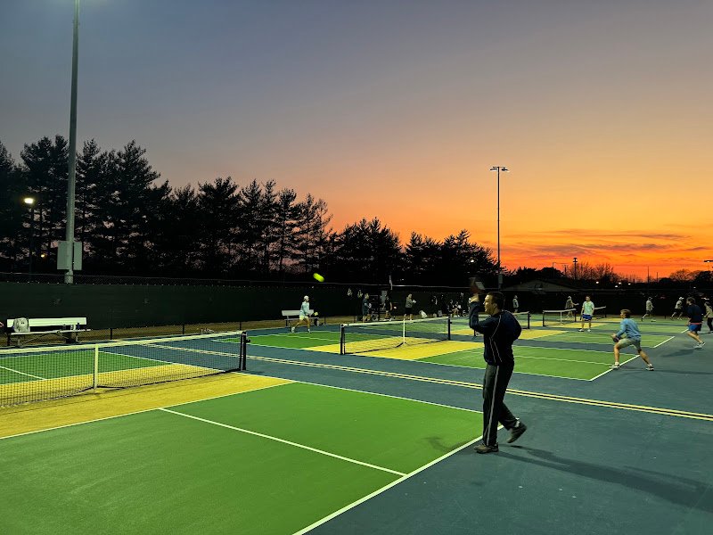 Sandra Moon - Pickleball Courts - Image 2