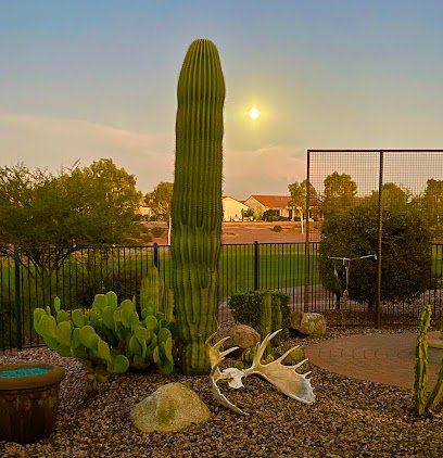 Sun City Anthem Merrill Ranch thumbnail