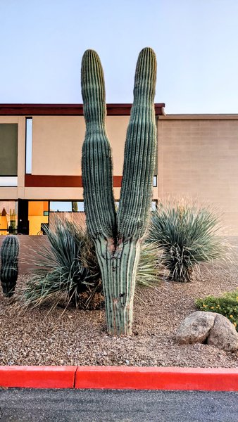 Mountainbrook Village thumbnail