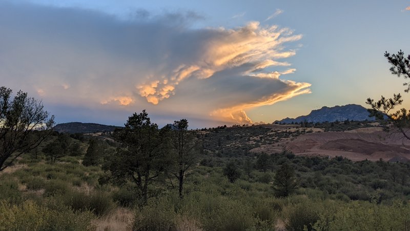 Pioneer Park thumbnail