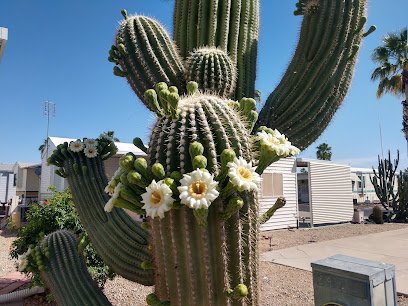 Happy Trails Resort - Cascades thumbnail