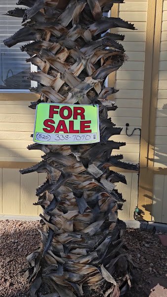 Voyager Rv Resort - Image 2