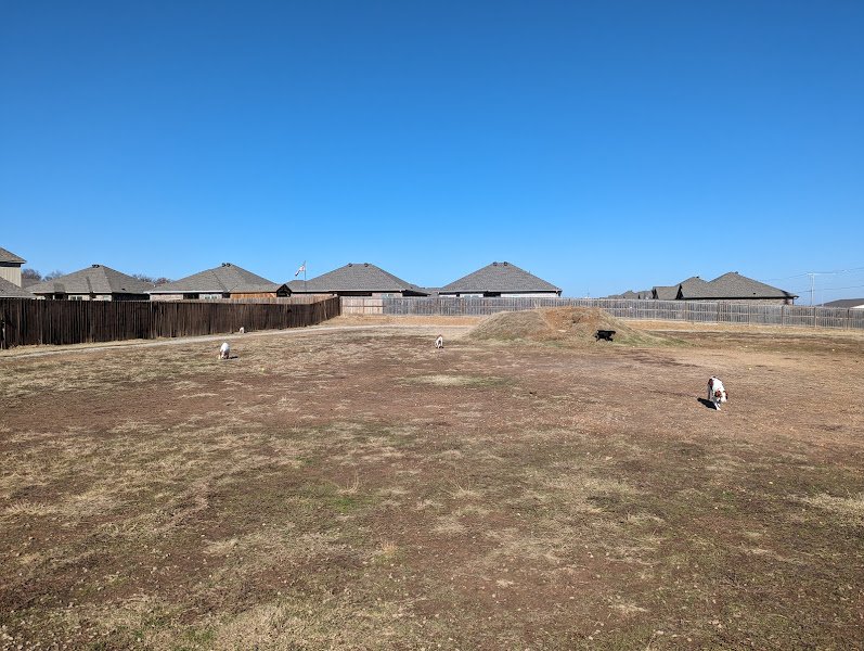 Chaffee Crossing Dog Park thumbnail