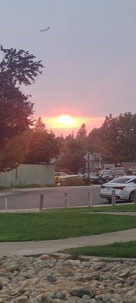 Pokelma Park thumbnail