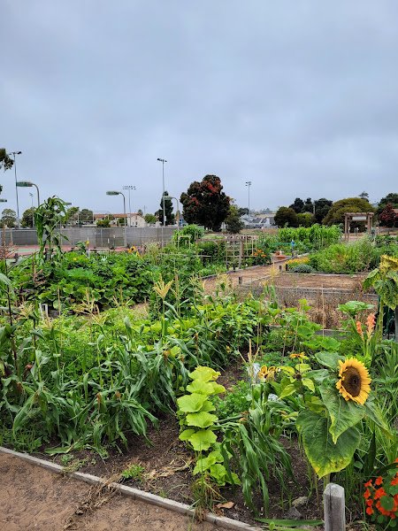 Arroyo Grande Recreation Center - Image 2