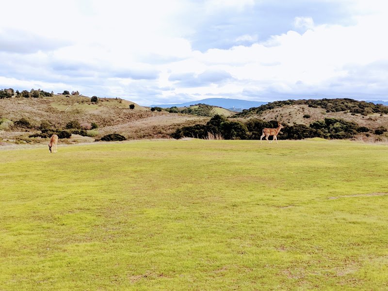 Hallmark Park - Image 3