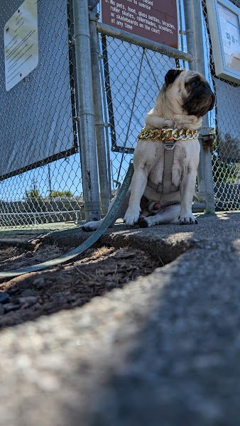 Alexander Park - Image 3