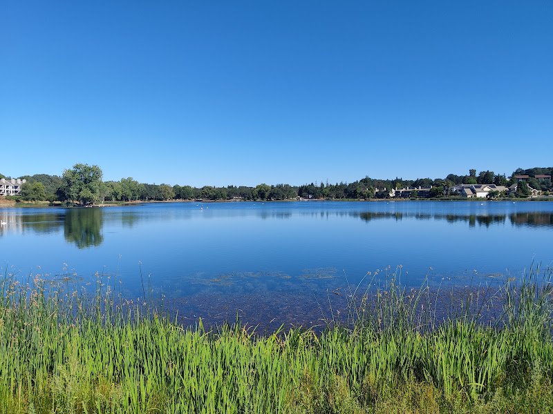 Cameron Park Lake Playground - Image 3