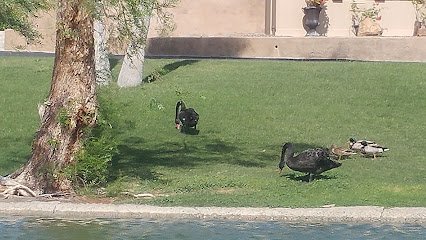 Sky Valley RV Sales thumbnail