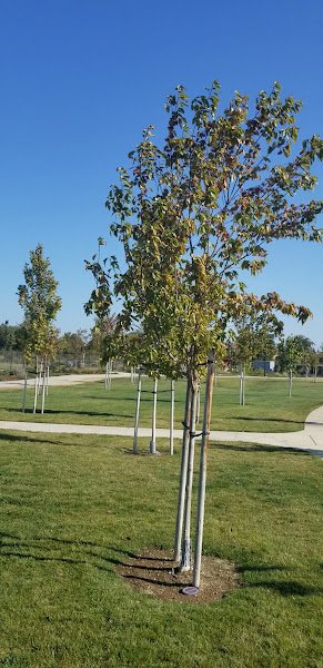 Oasis Park - Image 2