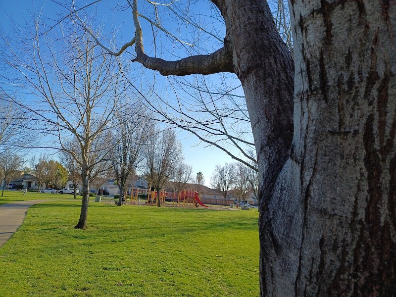 David A. Simpson Park - Image 3