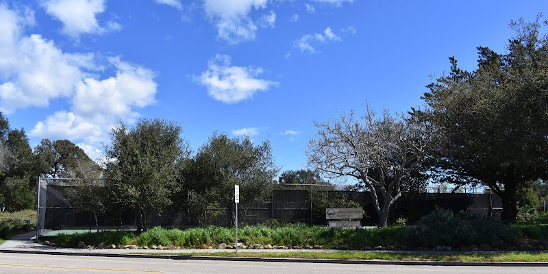 Kellogg Tennis Courts - Image 3