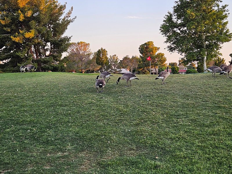 Silver Lake Tennis Center - Image 2