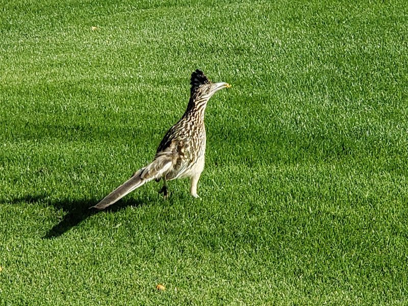Heritage Palms Golf Club - Image 3