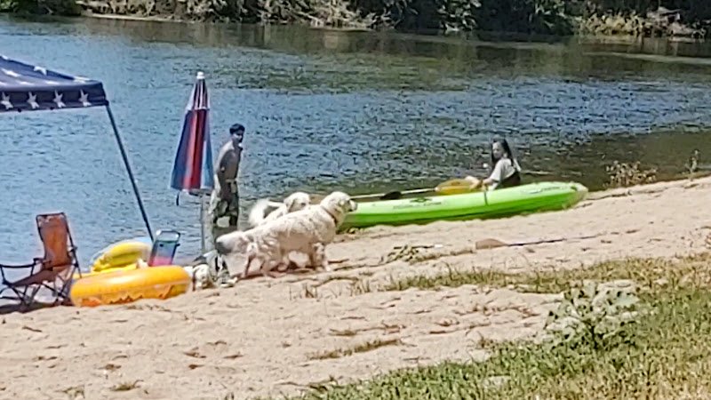 Kings River RV Resort - Image 2