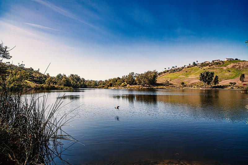 Laguna Niguel Regional Park thumbnail