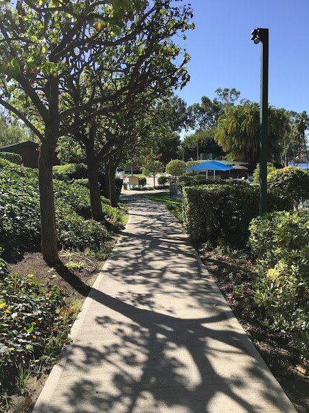 Lake Forest Sun & Sail Club thumbnail