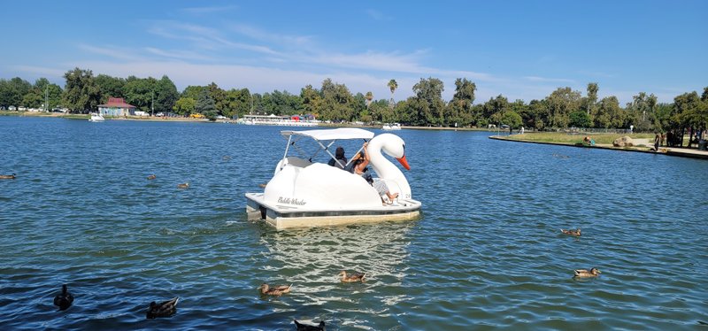 Lake Balboa/Anthony C. Beilenson Park thumbnail