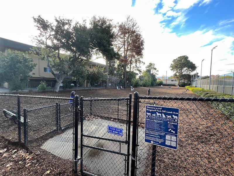 Rengstorff Park Pickleball Courts - Image 2