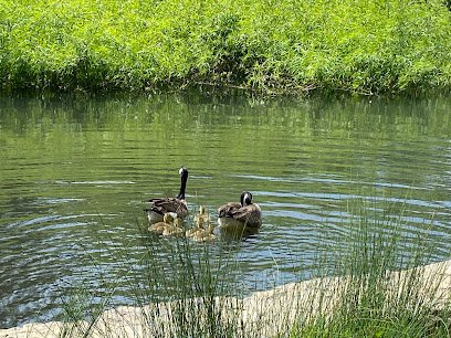 Montclair Park Pickleball Courts thumbnail