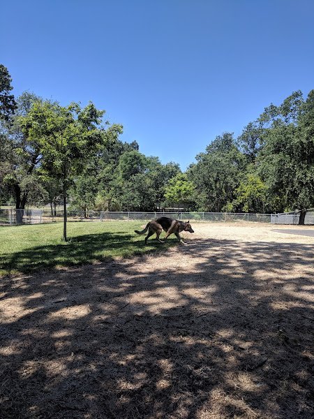 Pecan Park - Image 3