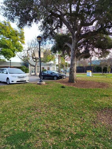 Allendale Park thumbnail