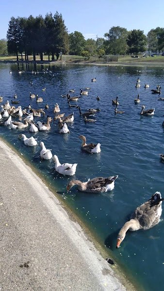 Lucchesi Park - Image 2