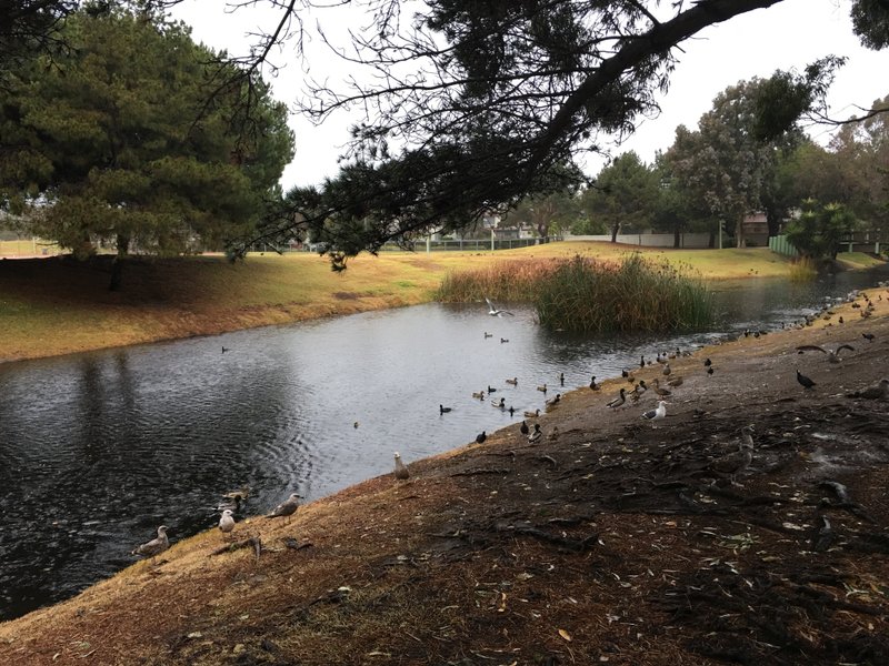 Walter B. Moranda Park thumbnail