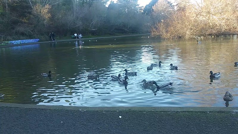 Louis Sutter Playground - Image 2