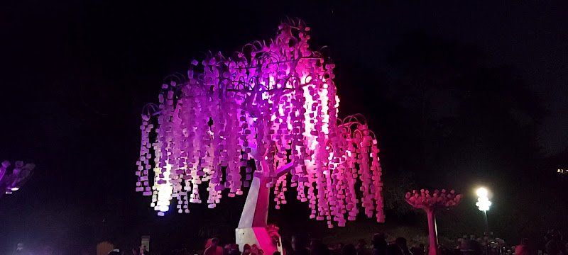 Goldman Pickleball Courts - Image 2