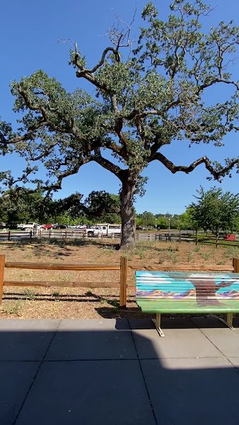 Finley Community Center: Santa Rosa Recreation & Parks - Image 2