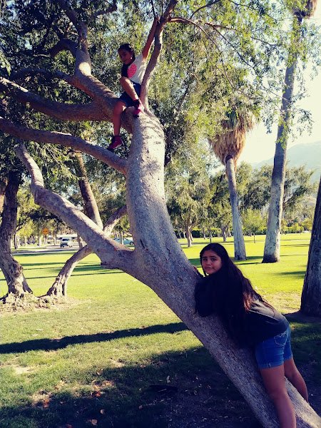 Amador Park - Image 2