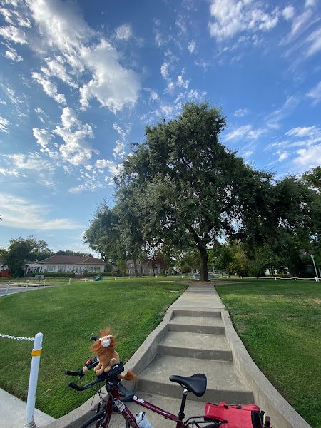 Beamer Park - Image 3