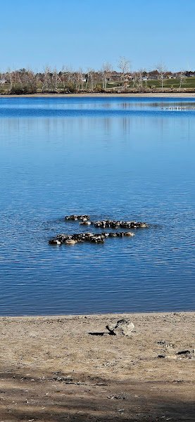 Clement Park Pickleball Courts - Image 3