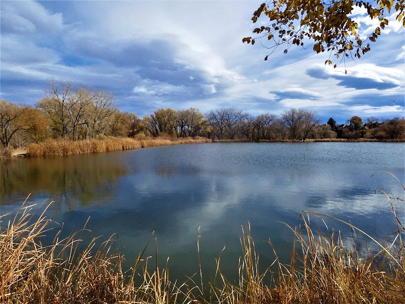 Prospect Park thumbnail