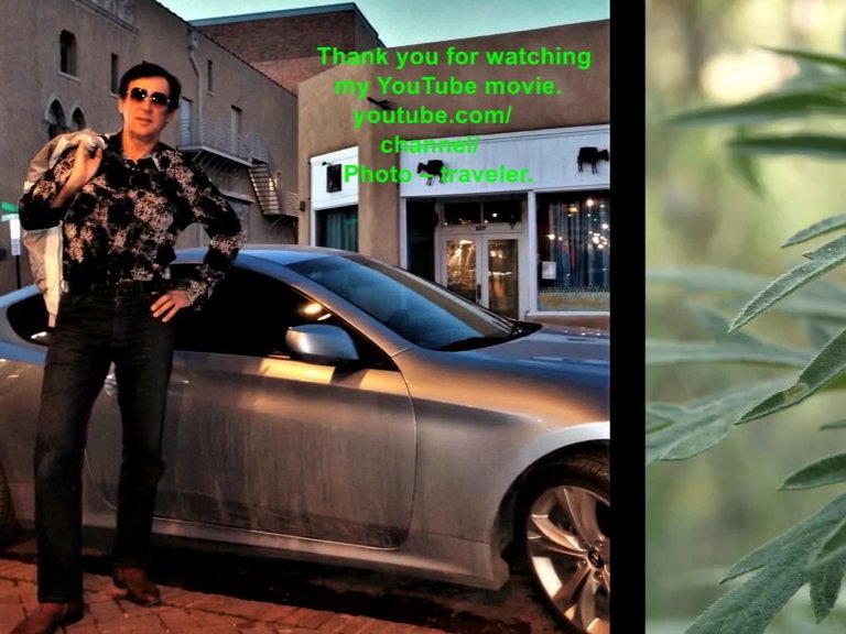 Prospect Park - Image 2