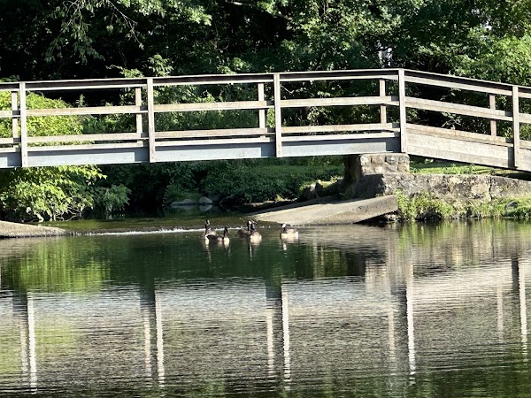 Meckauer Park - Image 3