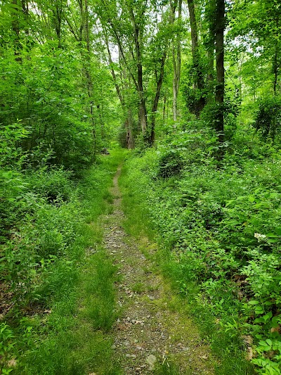 Brooklyn Tennis Courts thumbnail