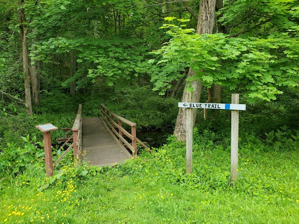 Brooklyn Tennis Courts - Image 3