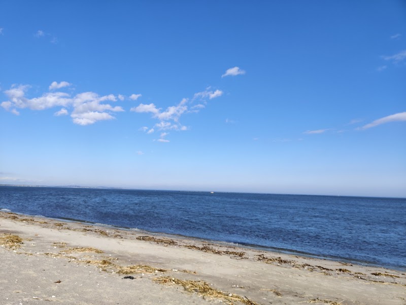 Short Beach Park - Image 2