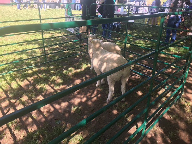 Ellington Recreation Department - Image 3