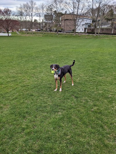 Western Greenwich Civic Center Park - Image 3