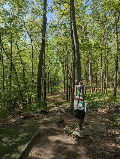 Bittner Park - Image 3